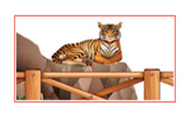 動(dòng)物園網(wǎng)不銹鋼繩網(wǎng)